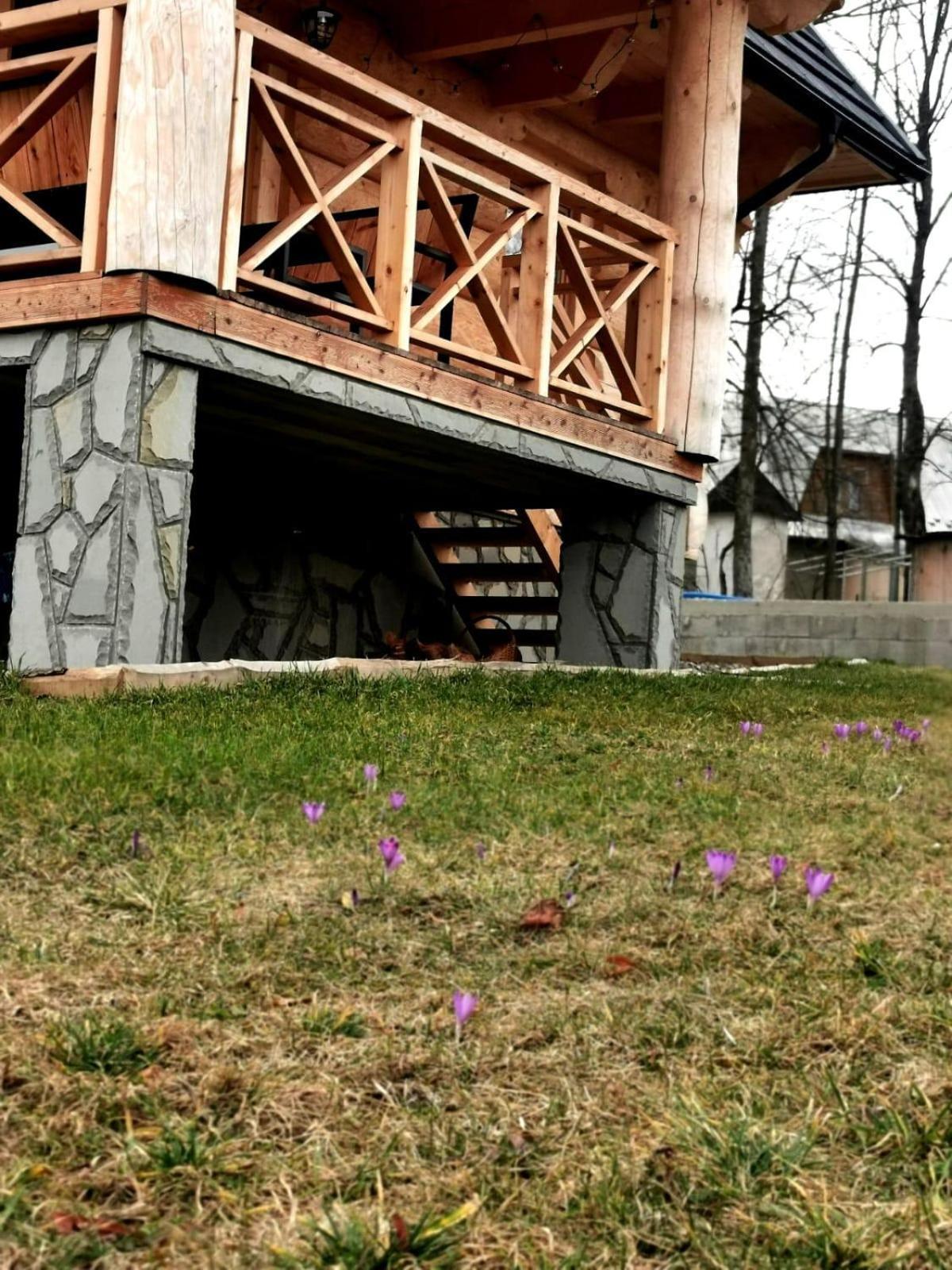 Chalpy Pod Ostryszem Villa Ciche  Exterior foto
